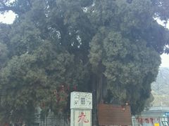 九顶松-四门塔风景区