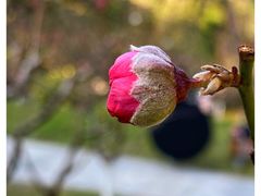 -桃花涧