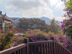 -广州市石门国家森林公园