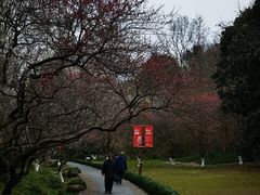 -杭州植物园