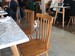 大堂-the rug 飞毯 (朝阳公园店)