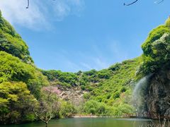 -少华山国家森林公园