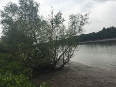 -东寨港红树林旅游区