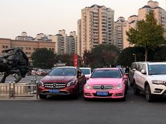 -大宁郁金香公园-停车场