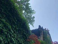 -灵谷景区