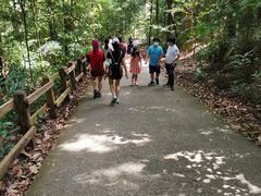 -武吉知马自然保护区