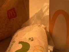-麦当劳(武汉火车站店)