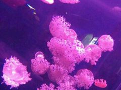 -多彩贵州城极地海洋世界