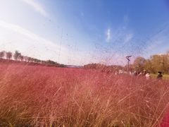 -灞河西岸滨河公园