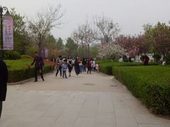 -西安青龙寺遗址景区