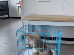 -爱诺耐芙动物医院(万博店)