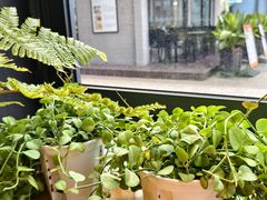 -1861意大利餐厅(文化广场店)