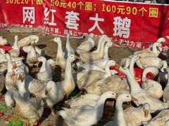 -辛庄国际文化艺术区