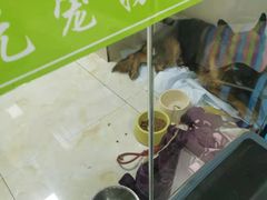 -德元·美联众合24小时动物医院(总院)