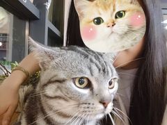 -中国石化江苏南京湖西街加油站