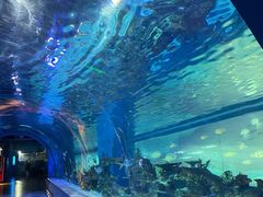 -常州海昌海洋探索馆