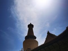 -张掖大佛寺景区