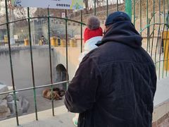 -保定市动物园