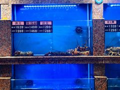 -齐家花园大酒店(宝山店)