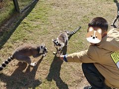 -无锡动物园·太湖欢乐园