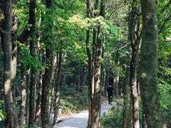 -梧桐山风景名胜区