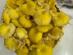 -朴小妹人参鸡汤火锅(长白山万达店)