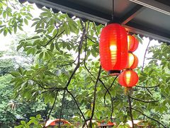 -侨美·唐荔园·40年地道粤菜