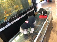 -酷鱼垂钓CLUB(朝阳区博大路店 )