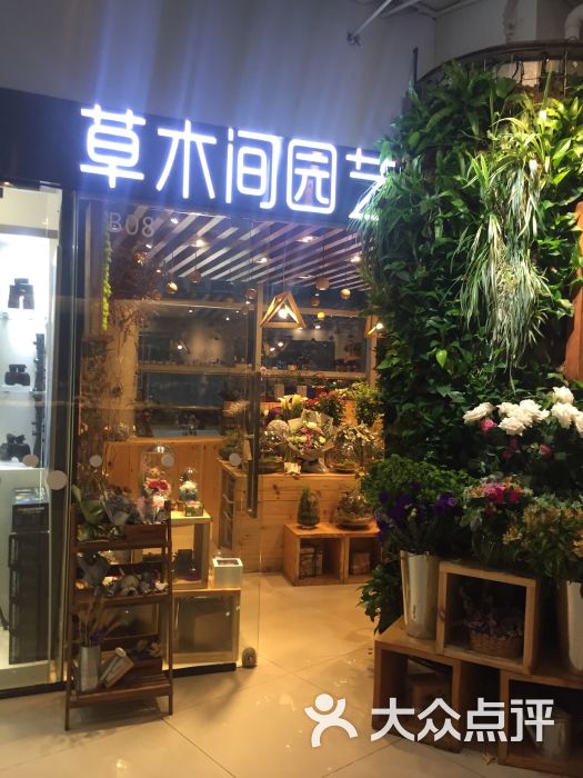 草木间园艺图片 - 第1张