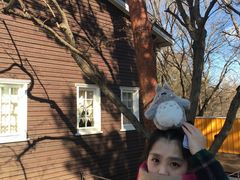 -三鹰之森吉卜力美术馆