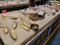 -麦德龙(郑东店)