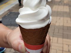 -富豪雪糕车流动点(尖沙咀店)