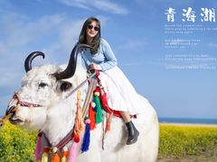 -青海湖国家重点风景名胜区