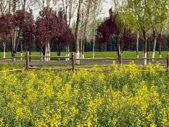 -汉长安城未央宫国家考古遗址公园