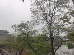 -西安城墙·碑林历史文化景区