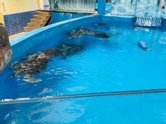 -海合安成都极地海洋公园