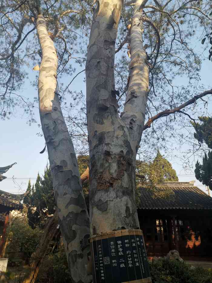 鹤园-"苏州以园林著称,这些私家的古典园林都隐藏."-大众点评移动版