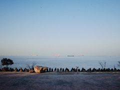 -上海滨江森林公园