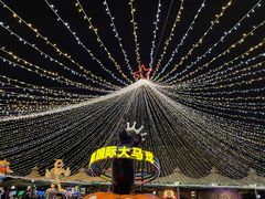 -广州长隆国际大马戏