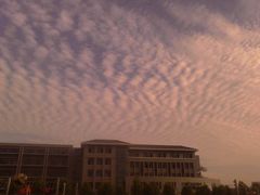 教学楼-河南牧业经济学院(龙子湖校区)