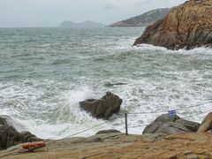 -广东惠东海龟国家级自然保护区