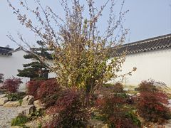 -常州糕团店(北大街新世纪商城店)