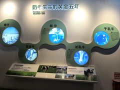 -君乐宝优致牧场