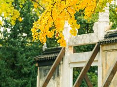 -苏州碑刻博物馆