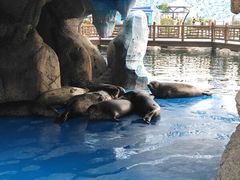 -华夏文旅海洋公园