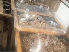 -嘉凌码头·重庆特产手工火锅底料(洪崖洞九楼店)