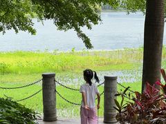 -南宁南湖公园