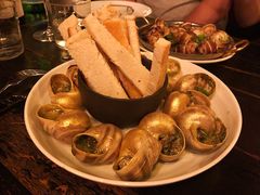 黄金大蜗牛-金蜗牛