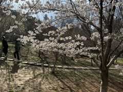 -大连植物园