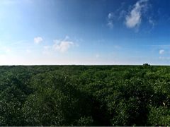 -北海金海湾红树林生态旅游区